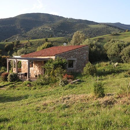 Casa Lysandra Serra-di-Ferro  Exteriör bild