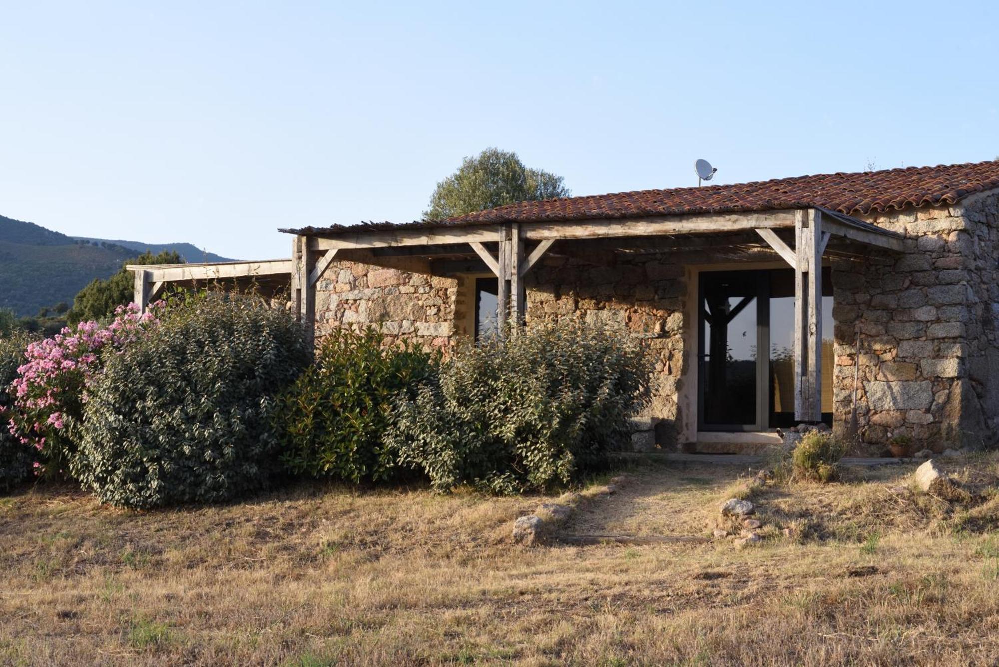 Casa Lysandra Serra-di-Ferro  Exteriör bild
