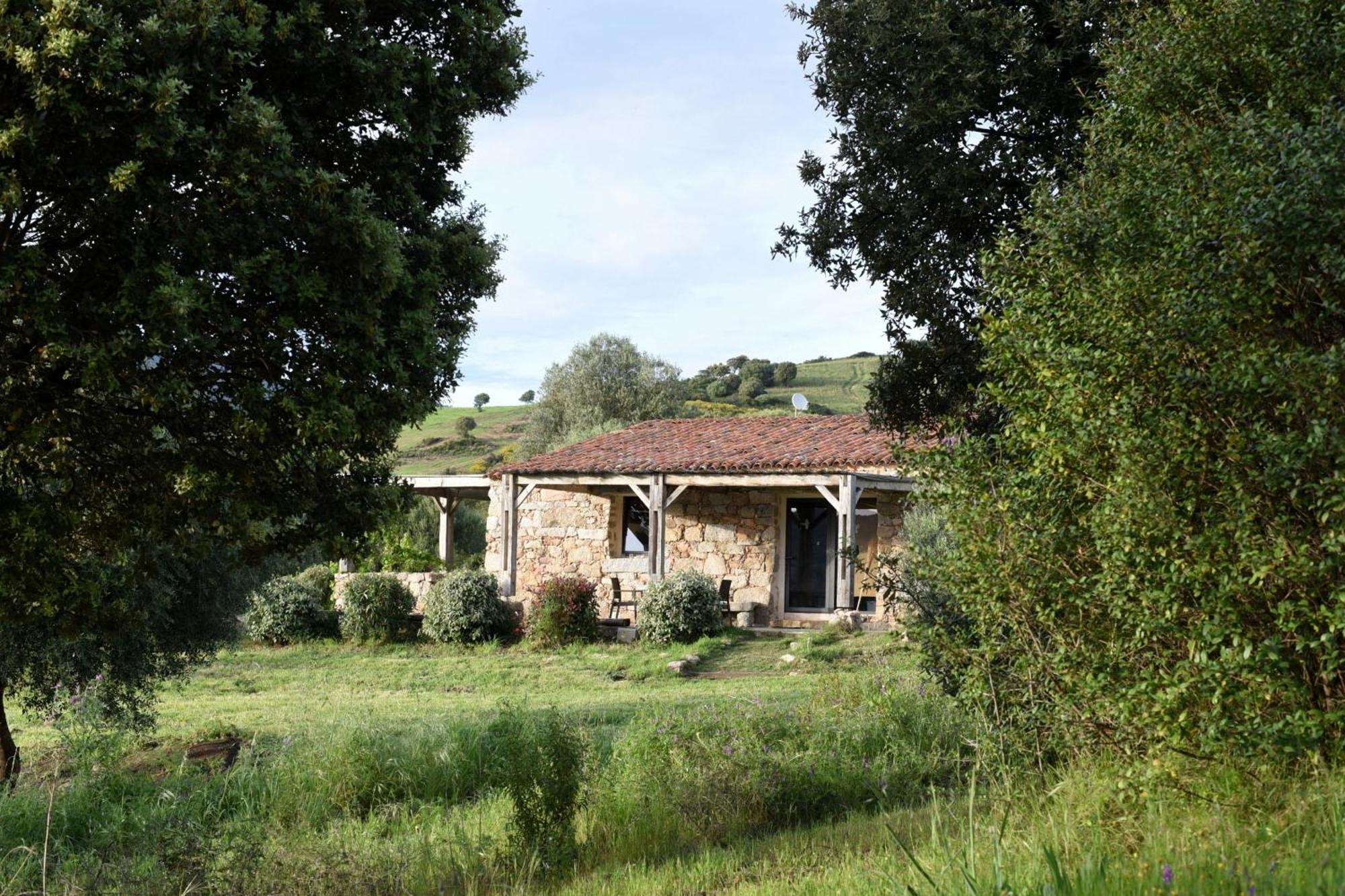 Casa Lysandra Serra-di-Ferro  Exteriör bild